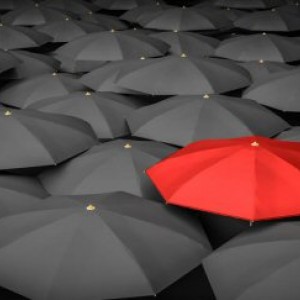 Umbrella Companies in Recruitment  - A Legal Perspective