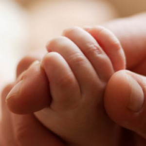 Proposed amendments to paternity leave regulations
