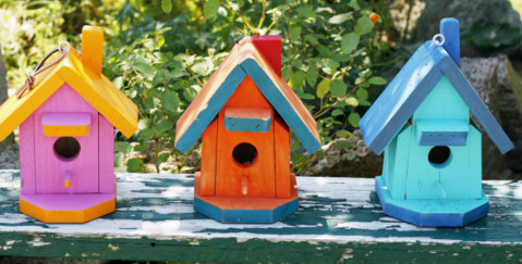 Collective Purchase of a Freehold - photo of coloured bird houses