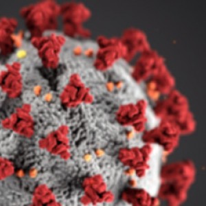 What Are the Latest Updates to Coronavirus (COVID-19) Testing?