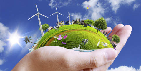 Energy Law Case Studies - energy project in the palm of a hand