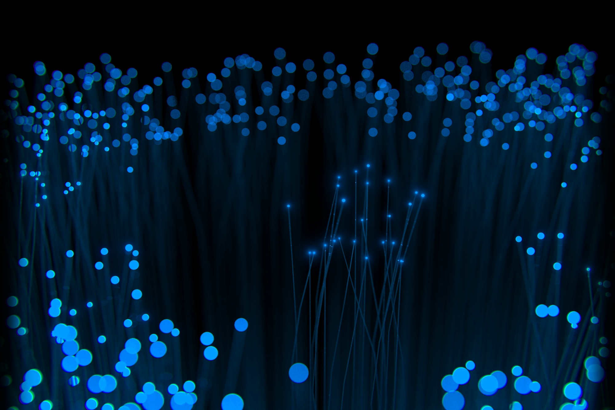 AELP Members Portal background image