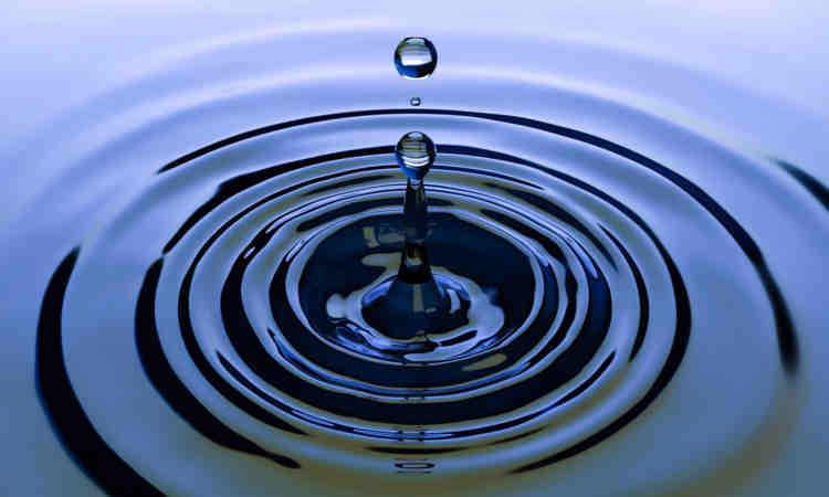 Carillion Liquidation Ripple Effect