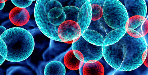 Pharmaceutical Law | VWV Law Firm