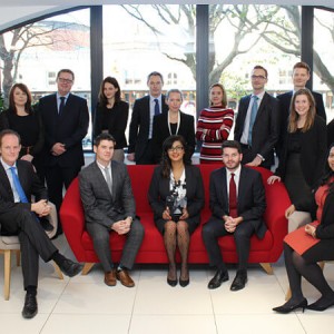 Litigation team