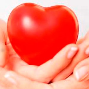 Charities and cause-related marketing - commercial participators