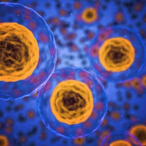 Cell and Gene Therapy Leader Wins Innovation Award 2020