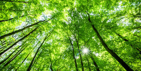 Charity Legacy Protection - VWV Solicitors