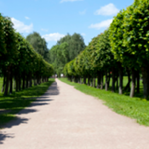 Life Sciences and sustainability shine in new UK industrial strategy