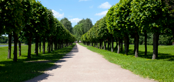 Legal Advice for Unmarried Couples