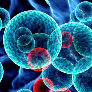Oxford University Study Finds Genetics Play Role in Durability and Efficacy of COVID Vaccines