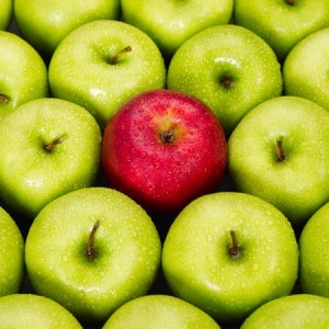 VWV Solicitors - Decision Makers' Law brief - Recruitment Apples