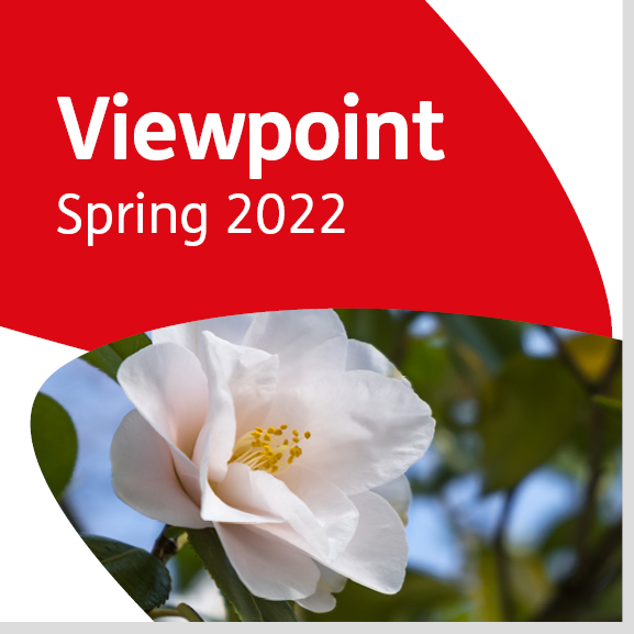 Viewpoint Spring 2021 image