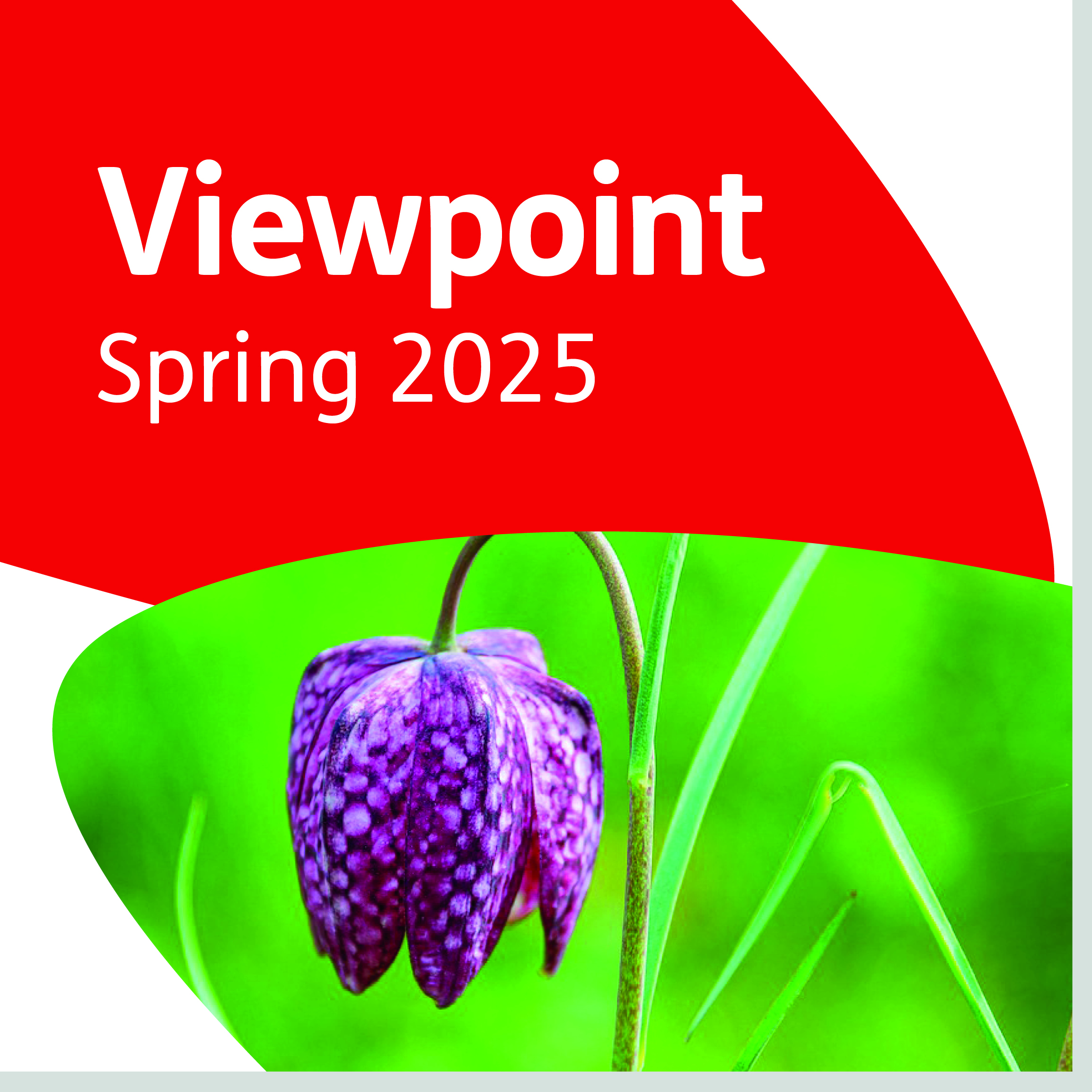 Viewpoint Autumn 2024