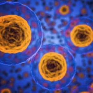 MANIFEST: The Francis Crick Institute launches a new project aimed at understanding immunotherapy responses and side effects in cancer treatments
