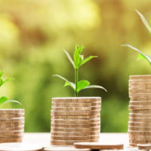 Navigating the 2026 changes to agricultural and business property relief