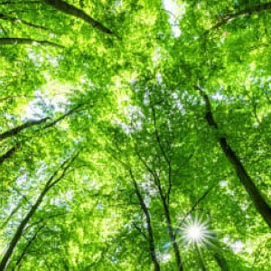 New charity investment governance principles guide