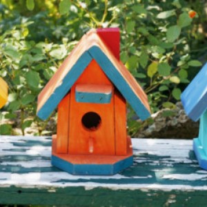 The Future of the Care Homes Sector - What Can We Expect?