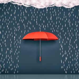 How Has the GDPR Impacted Your Organisation?