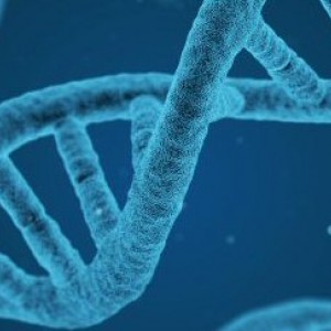Changes to UK medical devices regulation: What is on the horizon for 2025?
