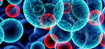 Pharmaceuticals Law & Life Sciences Lawyers