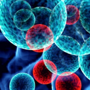 How's it going for pharma SMEs in the EU? 