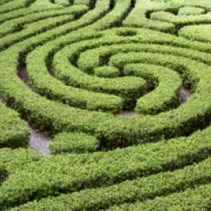 Preparing for the Procurement Act: a guide for suppliers