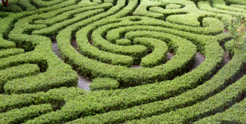 VWV Procurement Lawyers - maze image
