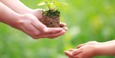Personal Injury Trusts - VWV Solicitors